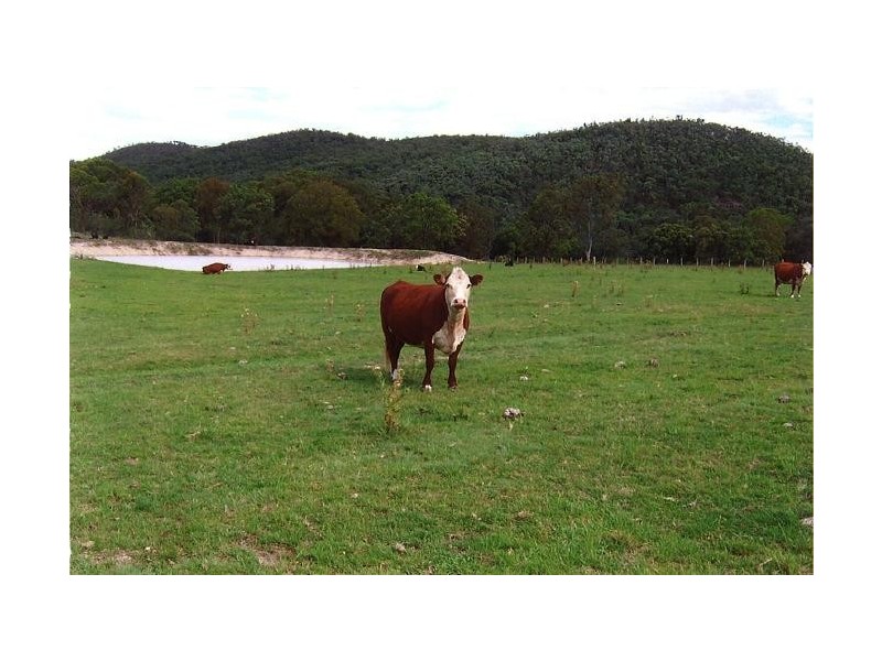 Tenterfield NSW 2372