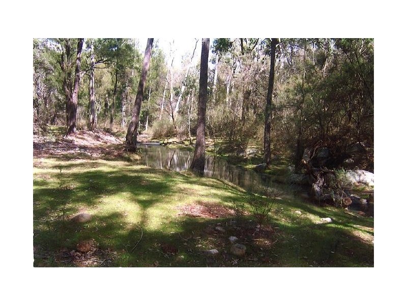 Tenterfield NSW 2372