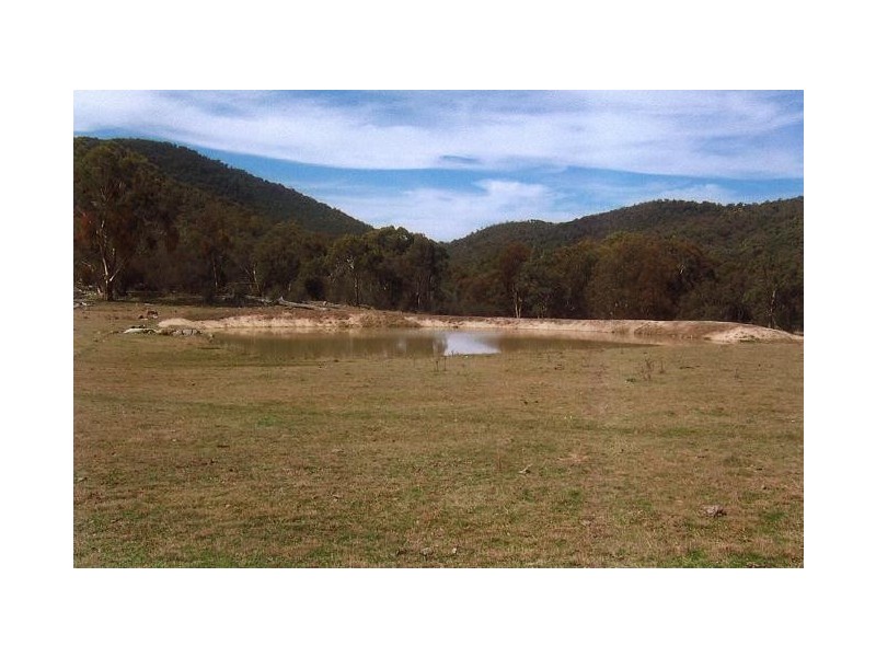 Tenterfield NSW 2372