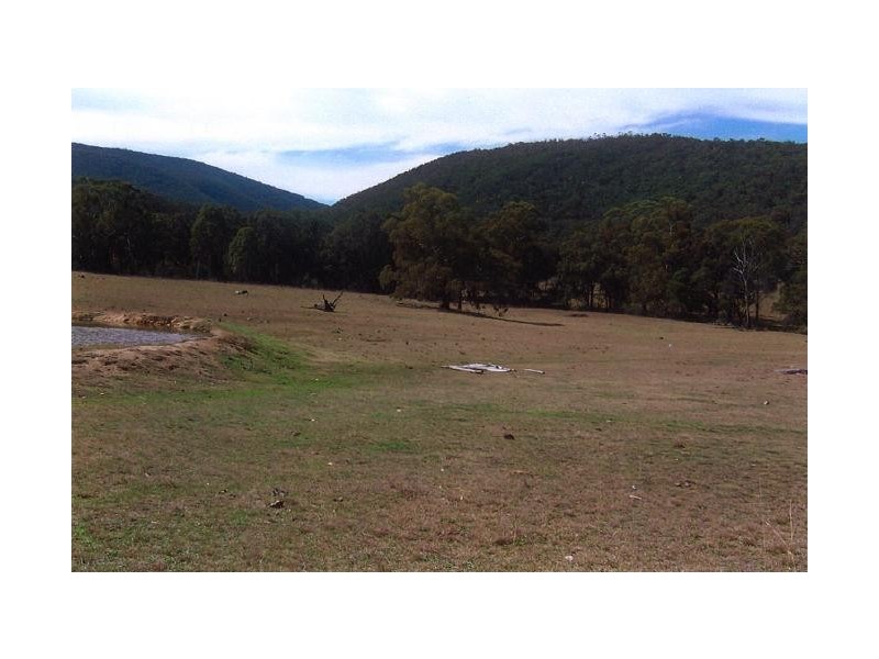 Tenterfield NSW 2372