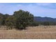 Tenterfield NSW 2372