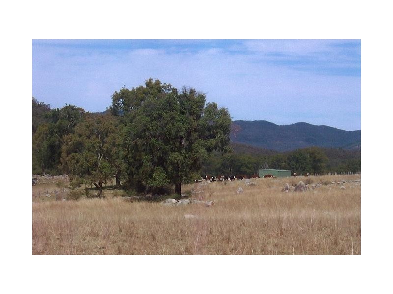 Tenterfield NSW 2372