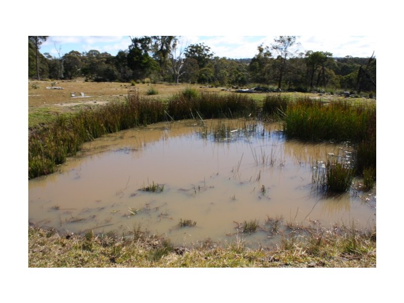 Tenterfield NSW 2372