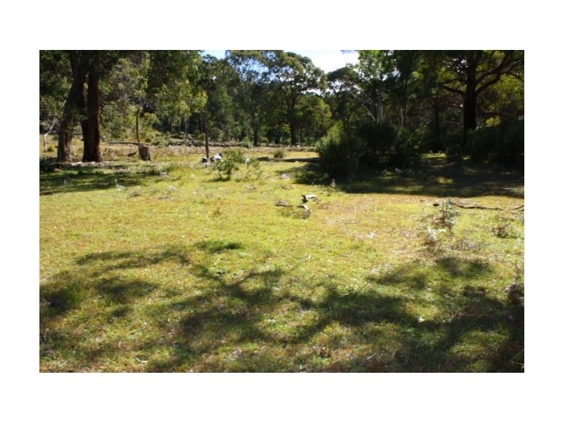 Tenterfield NSW 2372