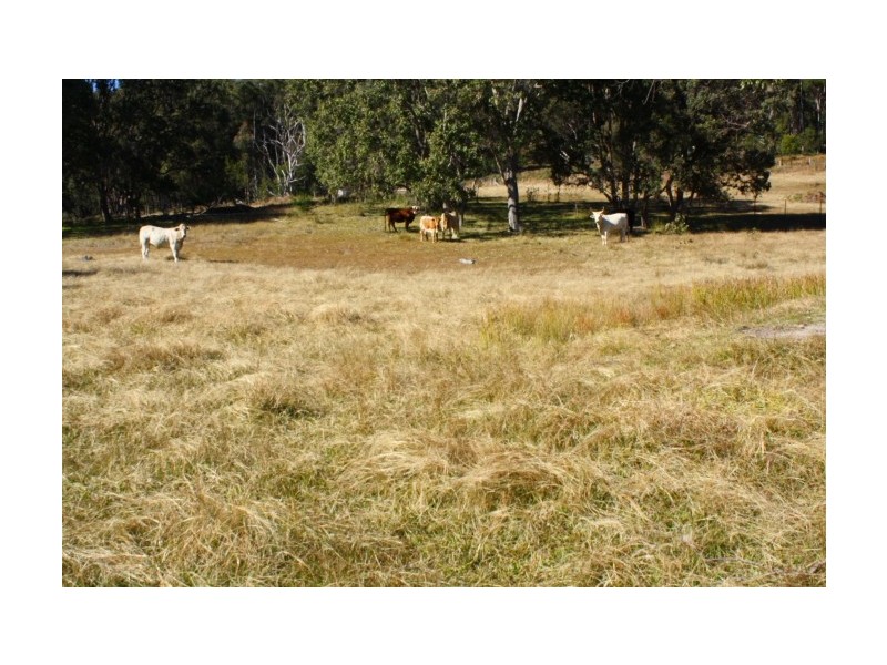 Tenterfield NSW 2372