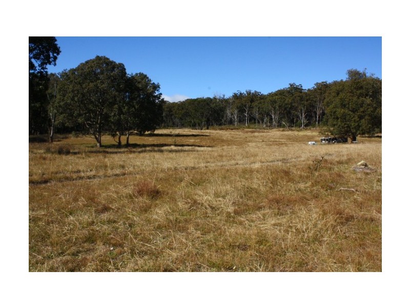 Tenterfield NSW 2372