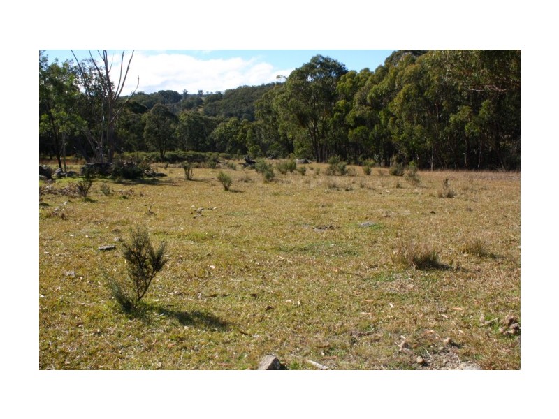 Tenterfield NSW 2372