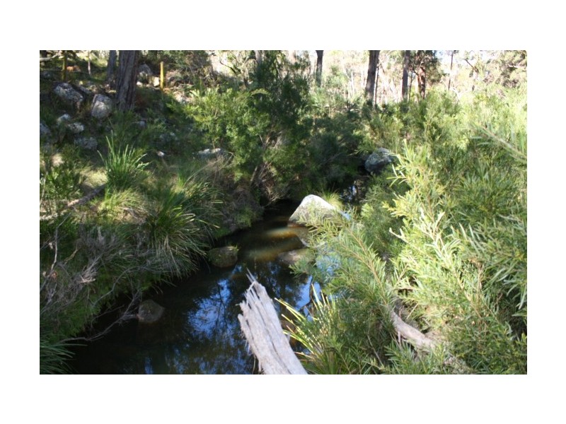 Tenterfield NSW 2372