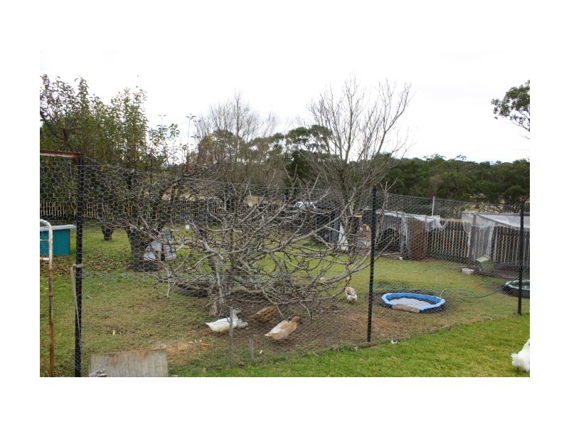 Tenterfield NSW 2372