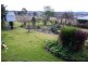 Tenterfield NSW 2372