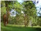 Tenterfield NSW 2372