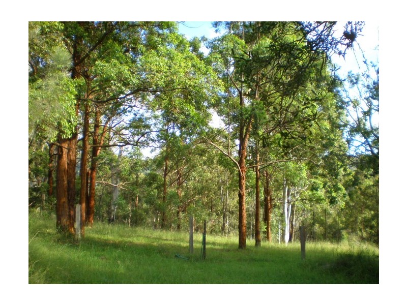 Tenterfield NSW 2372