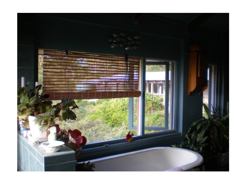 Tenterfield NSW 2372