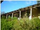 Tenterfield NSW 2372