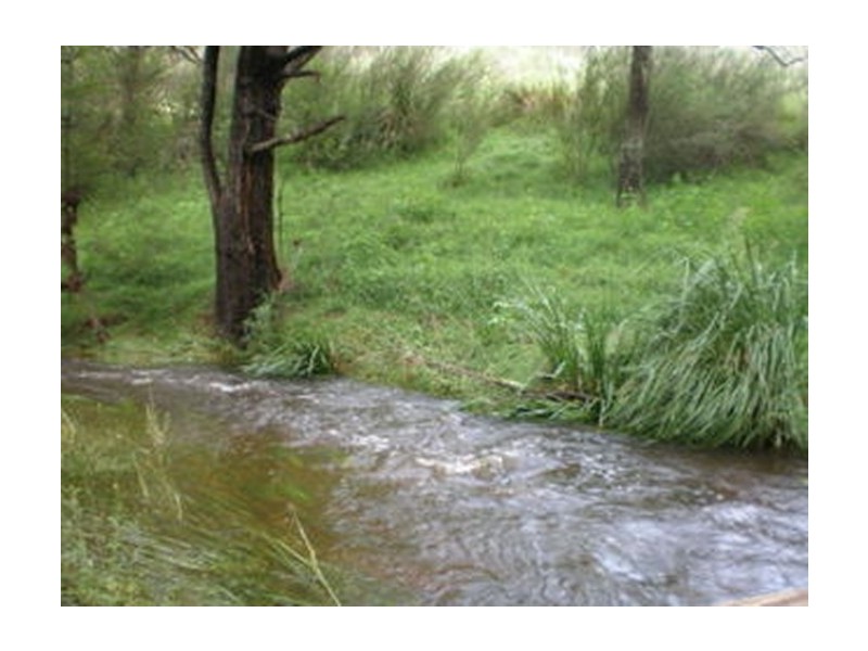 Tenterfield NSW 2372