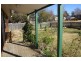 63 George Street, Tenterfield NSW 2372
