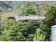 Tenterfield NSW 2372