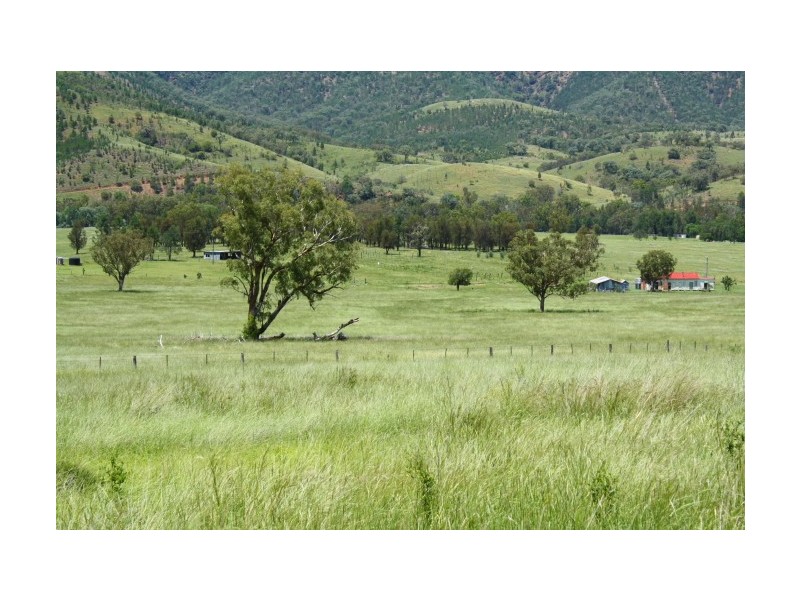 Tenterfield NSW 2372