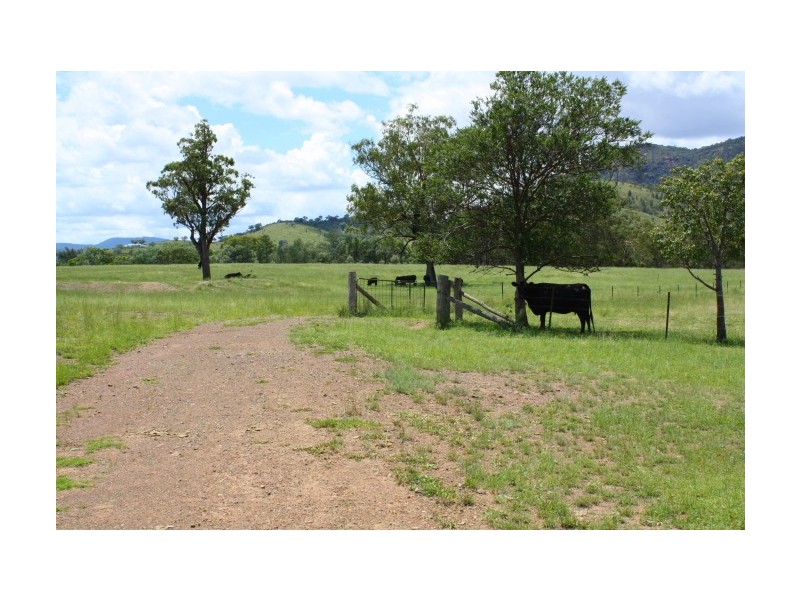 Tenterfield NSW 2372