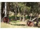 Tenterfield NSW 2372