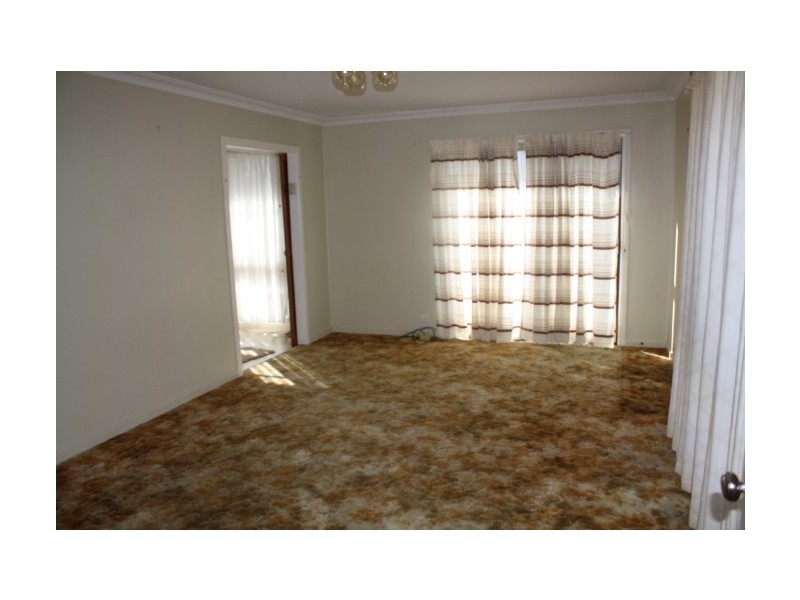 Tenterfield NSW 2372