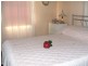 Tenterfield NSW 2372