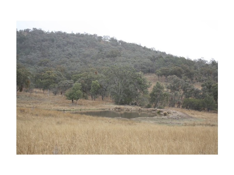 Tenterfield NSW 2372