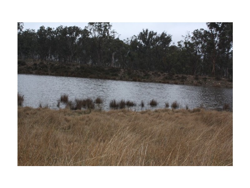 Tenterfield NSW 2372