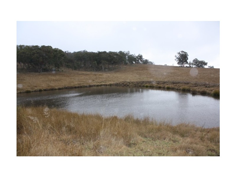 Tenterfield NSW 2372