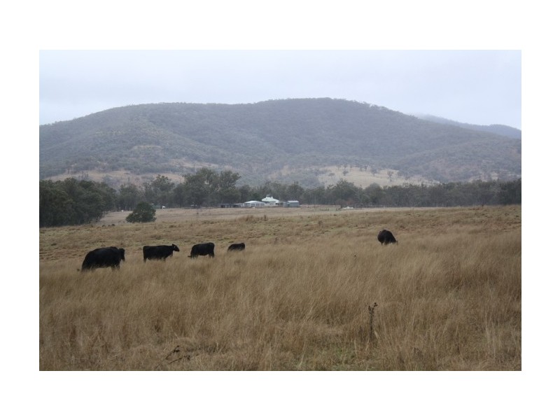 Tenterfield NSW 2372