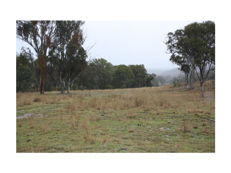 Tenterfield NSW 2372