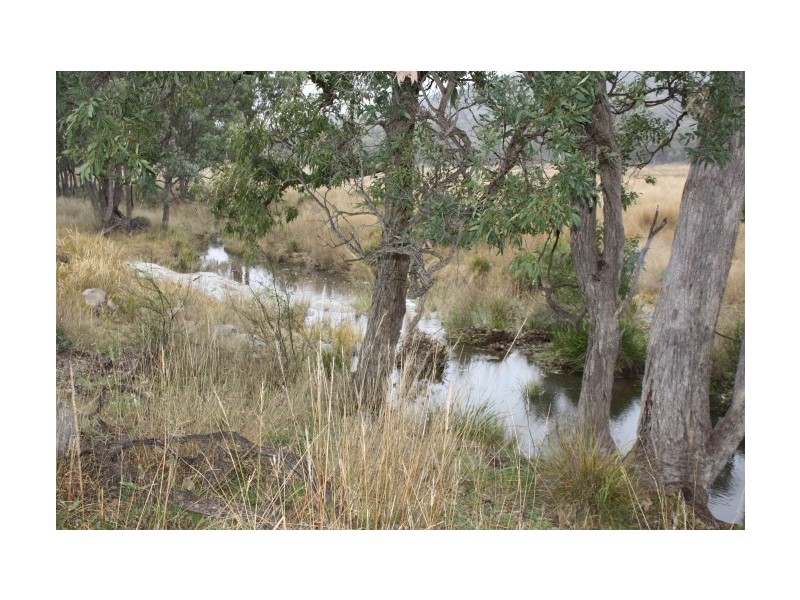 Tenterfield NSW 2372