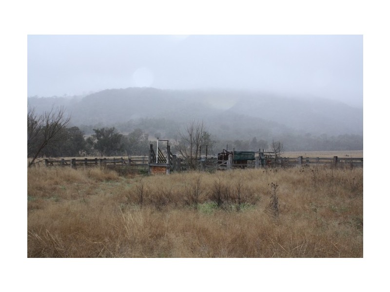 Tenterfield NSW 2372