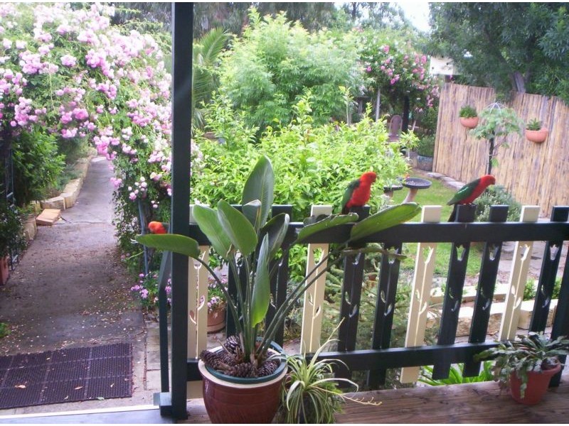 Tenterfield NSW 2372