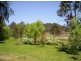 Tenterfield NSW 2372
