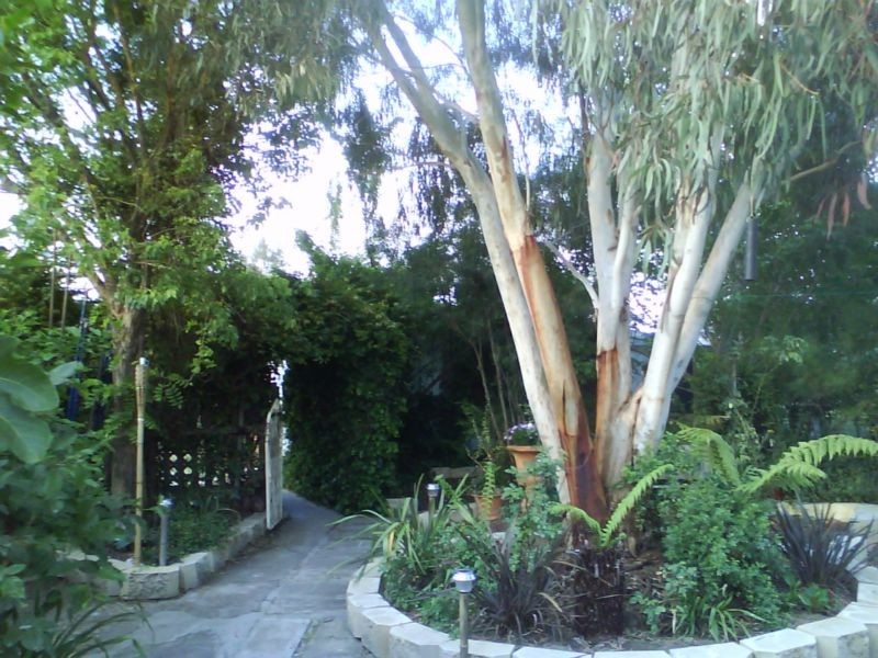 Tenterfield NSW 2372