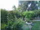 Tenterfield NSW 2372