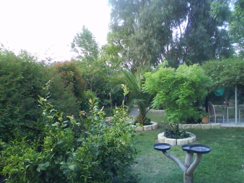Tenterfield NSW 2372