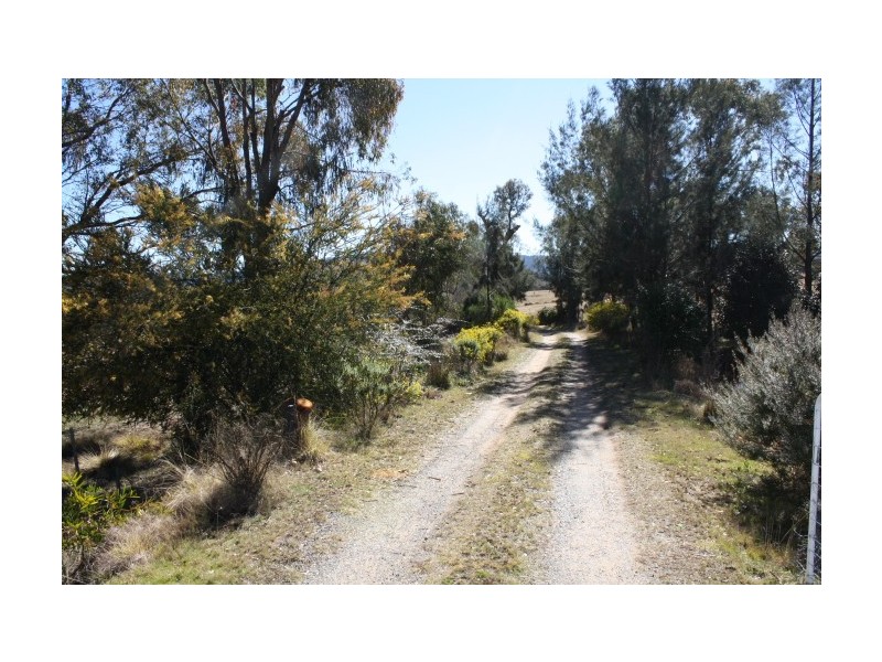 Tenterfield NSW 2372