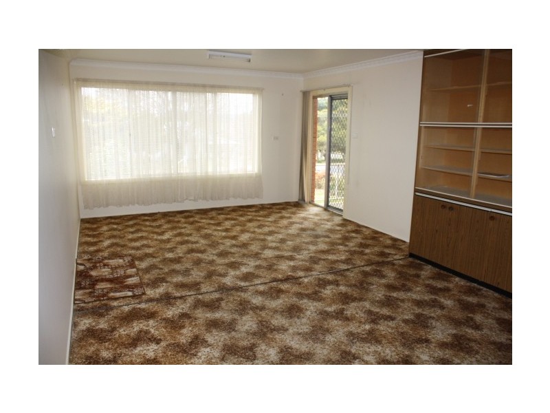 Tenterfield NSW 2372