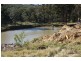 Tenterfield NSW 2372