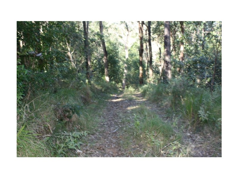 Tenterfield NSW 2372