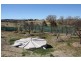 Tenterfield NSW 2372