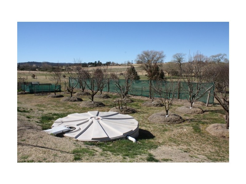 Tenterfield NSW 2372