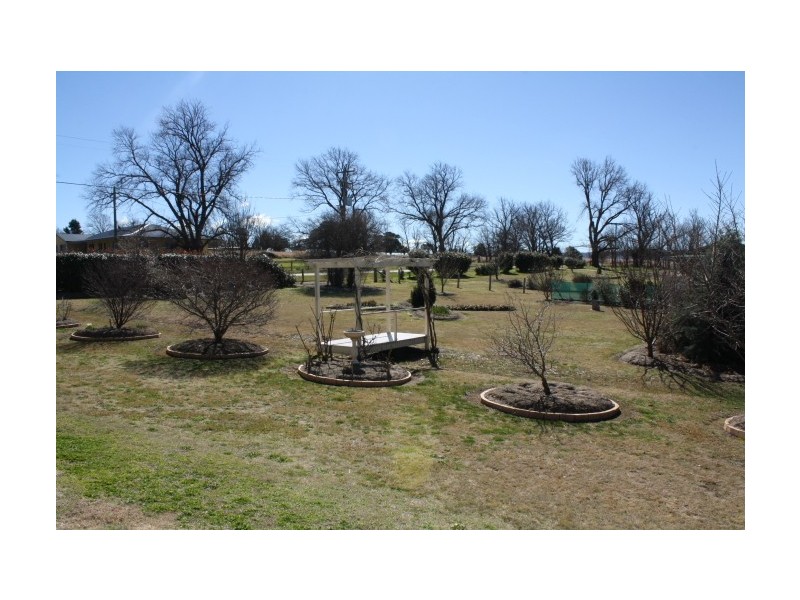 Tenterfield NSW 2372