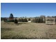Tenterfield NSW 2372