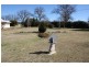 Tenterfield NSW 2372