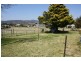 Tenterfield NSW 2372
