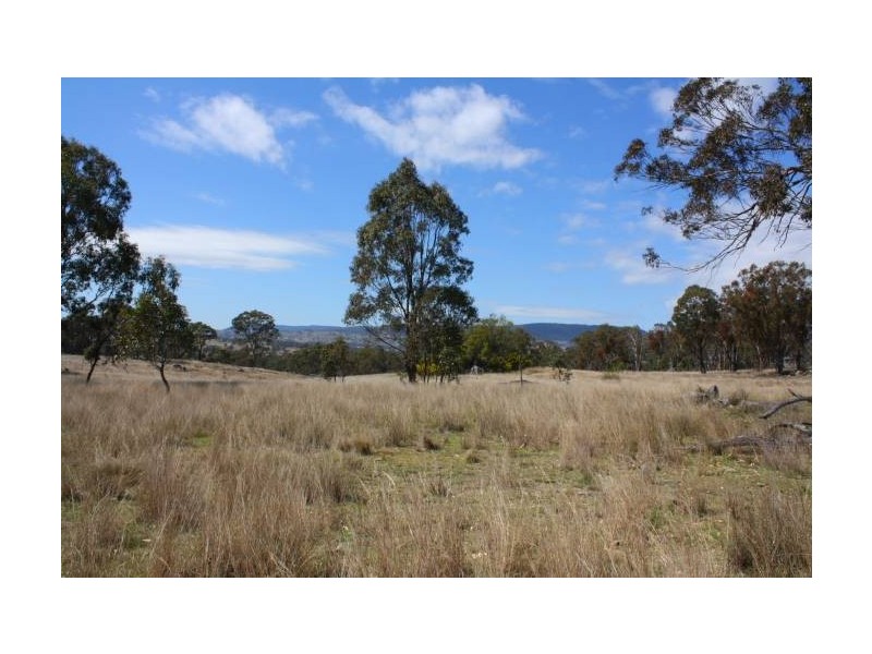 Tenterfield NSW 2372