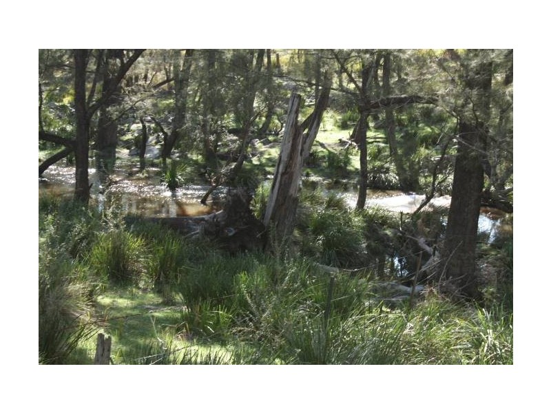 Tenterfield NSW 2372